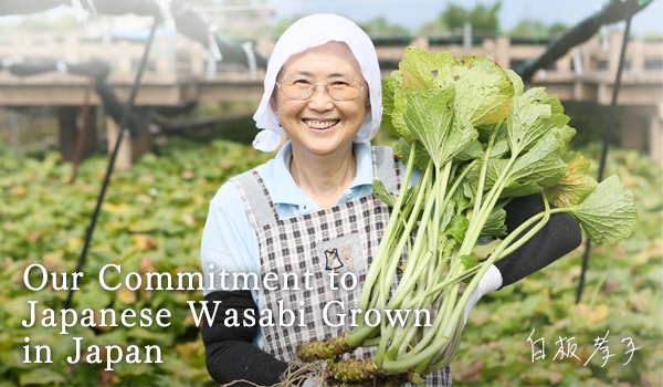 Our commitment to wasabi produced from Japanese ingredients