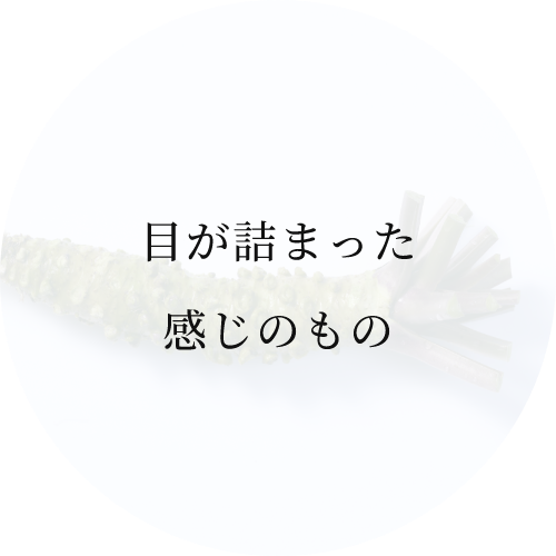 目が詰まった感じのもの