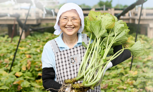 国内原料使用承诺